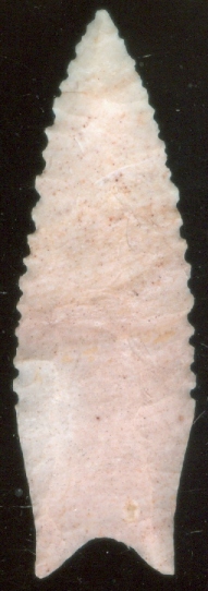 25-333 DALTON POINT